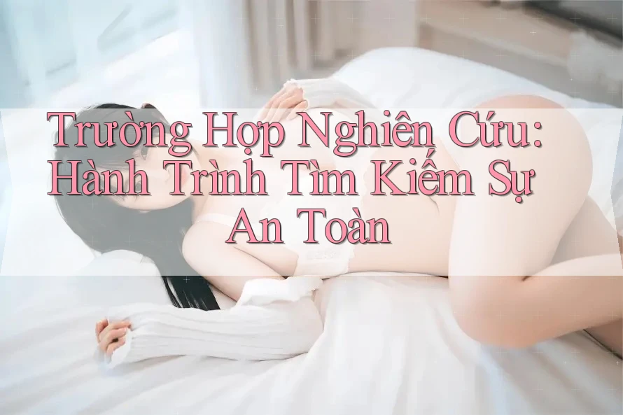 Trường Hợp Nghiên Cứu: Hành Trình Tìm Kiếm Sự An Toàn Trường Hợp Nghiên Cứu: Hành Trình Tìm Kiếm Sự An Toàn