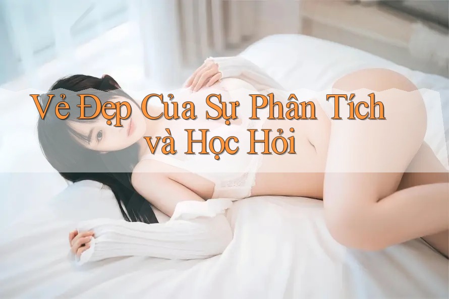 Vẻ Đẹp Của Sự Phân Tích và Học Hỏi