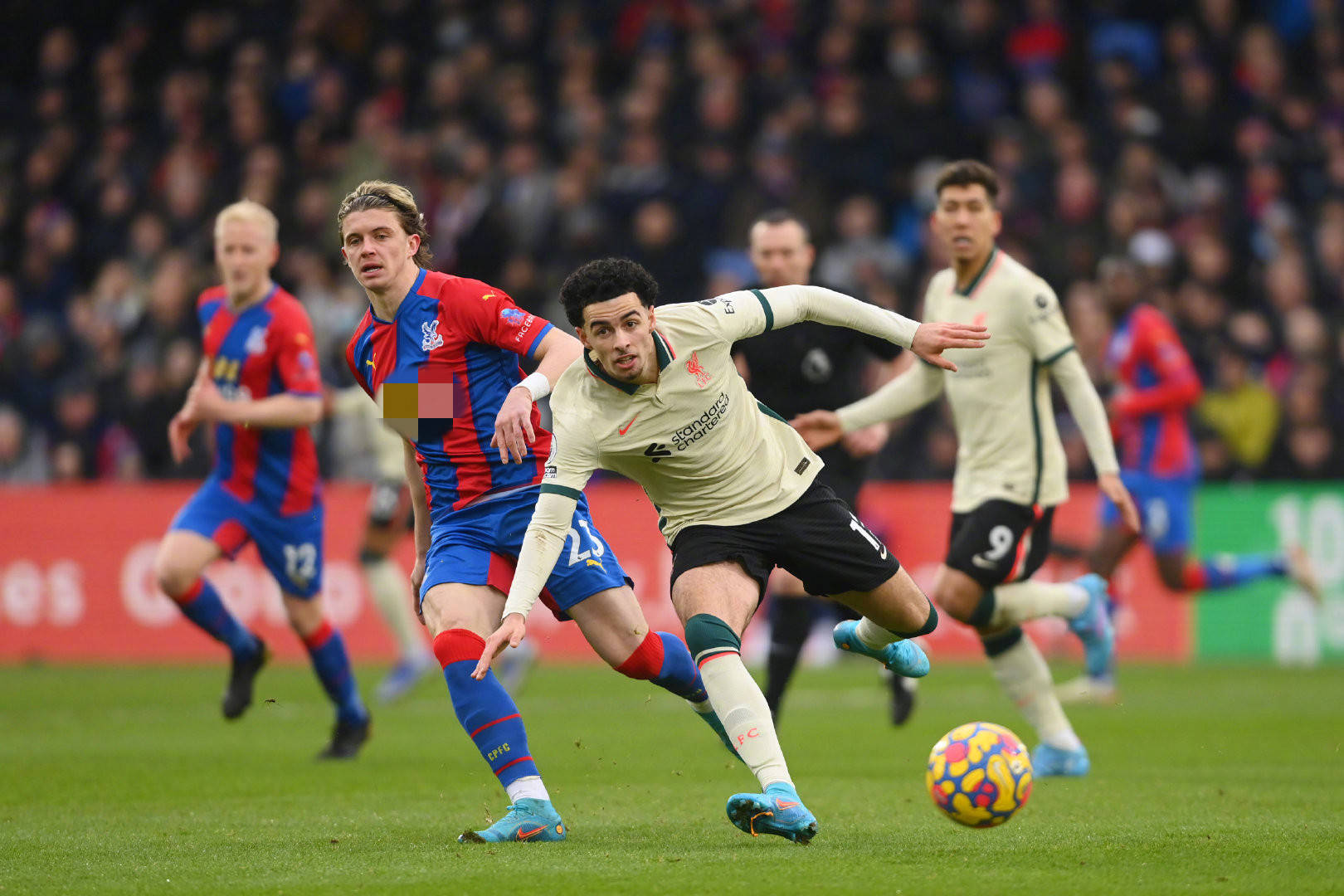 都在不断找 都在不断找